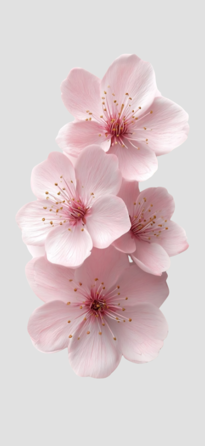 Flowers in bloom